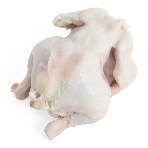 Fresh Chicken